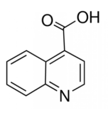 Хинолин-4-карбоновой кислоты, 98 +%, Alfa Aesar, 1г