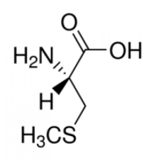 Субстрат S-метил-L-цистеина для метионинсульфоксидредуктазы A Sigma M6626