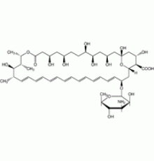 Амфотерицин B от Streptomycessp. ~ 80% (ВЭЖХ), порошок Sigma A4888