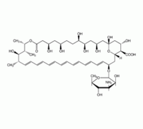 Амфотерицин B от Streptomycessp. ~ 80% (ВЭЖХ), порошок Sigma A4888