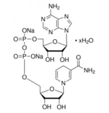 -Никотинамидадениндинуклеотид, восстановленный гидрат динатриевой соли 97% (ВЭЖХ) Sigma N8129