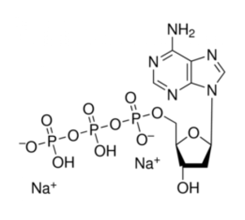 2'-дезоксиаденозин-5'-трифосфат динатриевой соли, 98%, Alfa Aesar, 10 мг