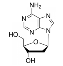 2'-дезоксиаденозин моногидрат 99% Sigma D7400