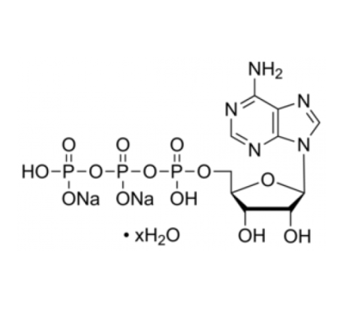 Флакон с гидратом динатриевой соли аденозин-5'-трифосфата (АТФ) ~ 1 мкг АТФ Sigma FLAAS
