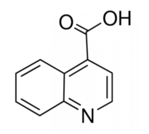 Хинолин-4-карбоновая кислота, 97%, Maybridge, 5г