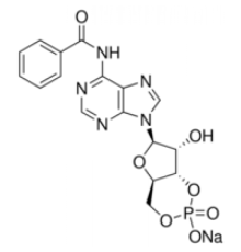 Натриевая соль 6-Bnz-цАМФ 98% (ВЭЖХ) Sigma B4560