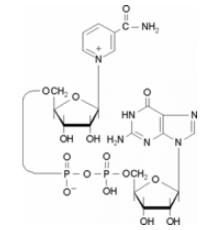 Никотинамидгуаниндинуклеотид натриевая соль фосфодиэстераза и субстрат АДФ-рибозилциклазы Sigma N5131