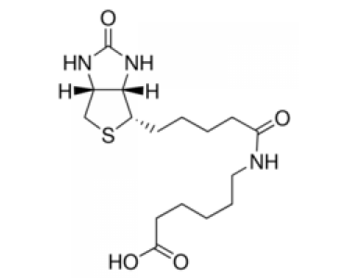 β (+β Биотинил-6-аминогексановая кислота 97,0% (ВЭЖХ) Sigma 14407