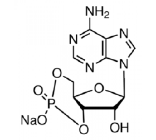 Моногидрат натриевой соли аденозин-3 ', 5'-циклического монофосфата 98,0% (ВЭЖХ), порошок Sigma A6885