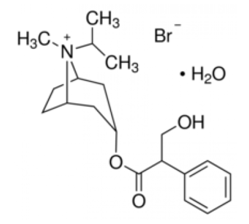 Моногидрат бромида ипратропия 98% (ТСХ), порошок Sigma I1637