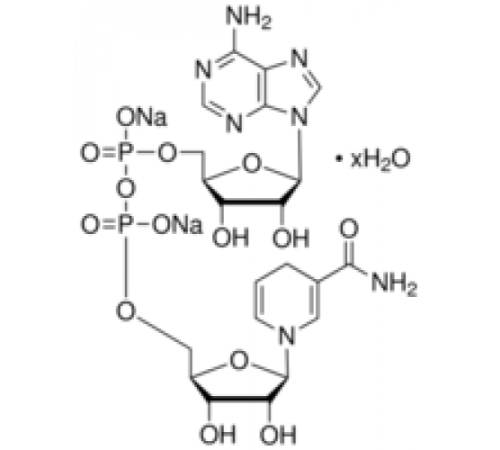 -никотинамидадениндинуклеотид, восстановленный гидрат динатриевой соли ~ 98%, упаковка по 100 мкг Sigma N1161