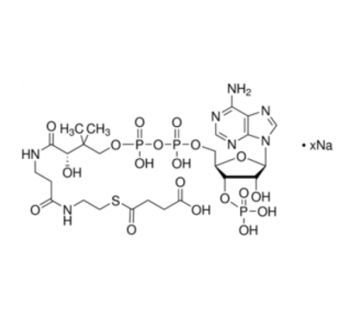 Натриевая соль сукцинилкофермента А 85% Sigma S1129