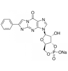 ПЭТ-цГМФ 98% (ВЭЖХ), твердый Sigma P0622