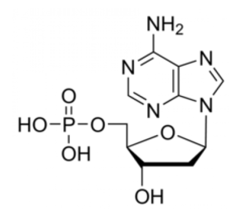 2'-дезоксиаденозин 5'-монофосфат Sigma Grade, 98-100% Sigma D6375