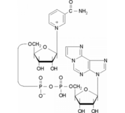 Никотинамид 1, N6-этеноадениндинуклеотид 98% Sigma N2630
