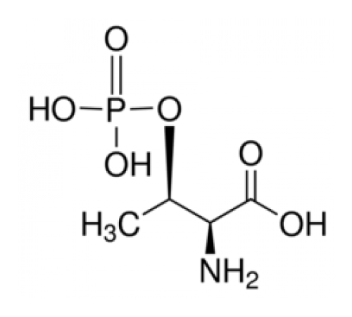О-фосфо-L-треонин Sigma P1053