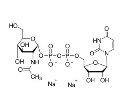 Натриевая соль уридина 5'-дифосфо-N-ацетилглюкозамина 98% Sigma U4375