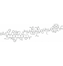 Соматостатин 28 ~ 97% (ВЭЖХ) Sigma S6135