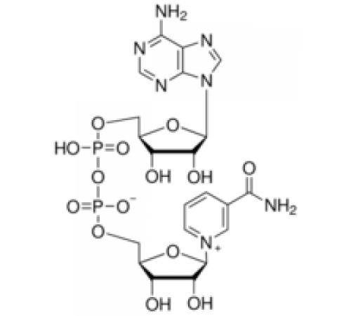 -Никотинамидадениндинуклеотид, упаковка по 50 мкг (на флакон) Sigma N8535