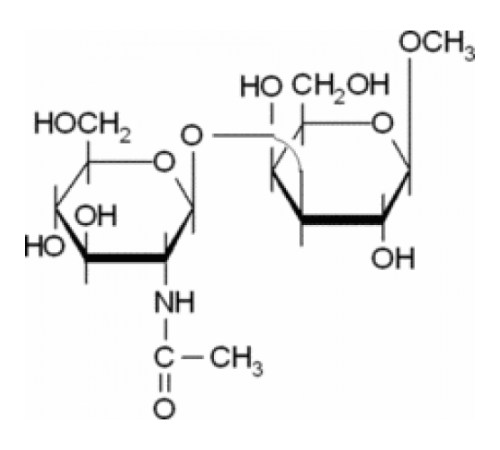 Метил 3-O- (N-ацетиββ D-глюкозаминилββ D-галактопиранозид Sigma M0775