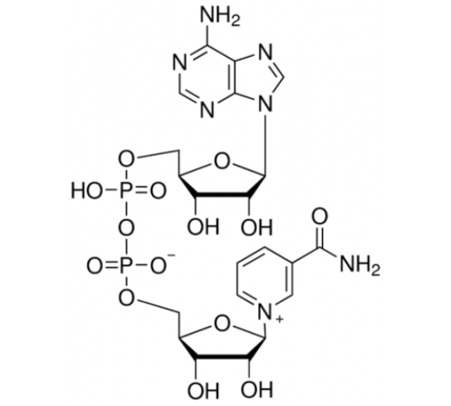 НАД (окисленный), не менее 97%, AppliChem, 5 г