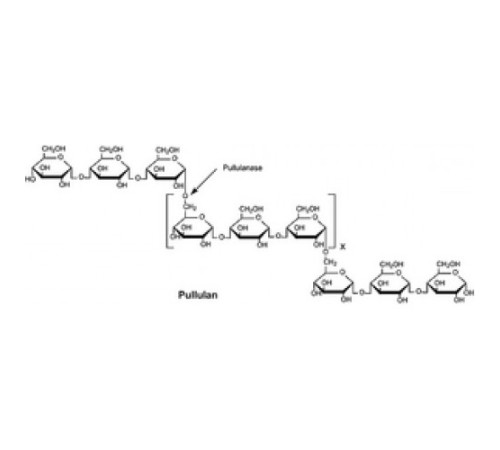 Пуллуланаза из лиофилизированного порошка Klebsiella pneumoniae, 10-30 мкг / мг белка Sigma P1067