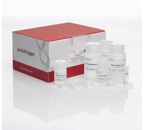 Набор PureLink Quick Gel Extraction and PCR Purification Combo Kit, Thermo FS Набор PureLink Quick Gel Extraction and PCR Purification Combo Kit, Thermo FS