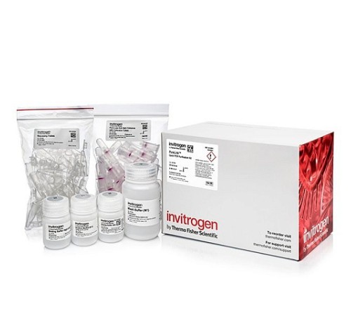 Набор PureLink PCR Purification Kit, Thermo FS